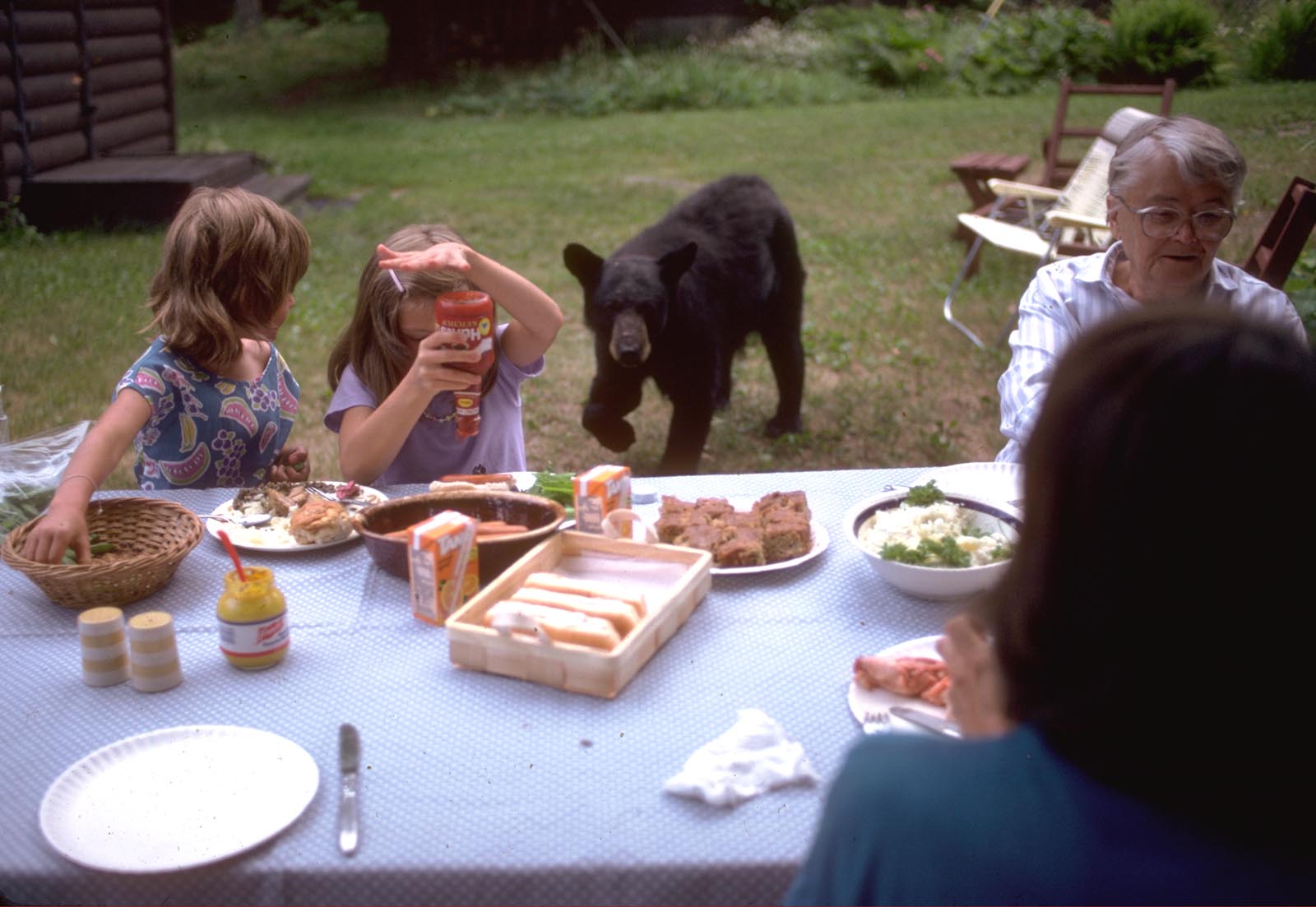 bear-approaching-picnic.jpg