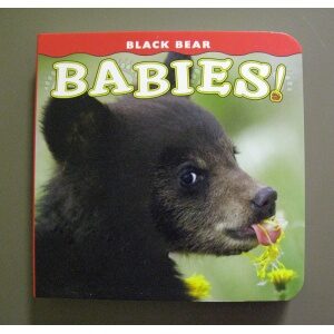 Black bear babies board book.