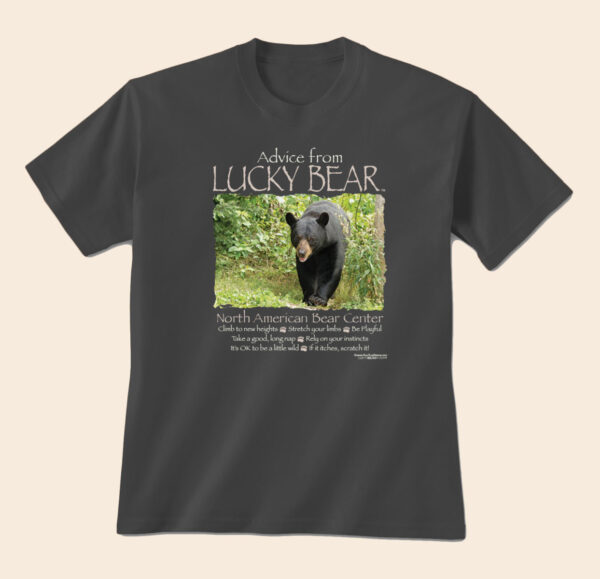 Advice from our bear Lucky slate gray adult shirt.