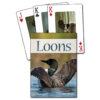 Loon deck of cards.