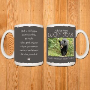 Advice from Lucky bear gray mug.