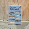 Fish of Midwest playing deck card.