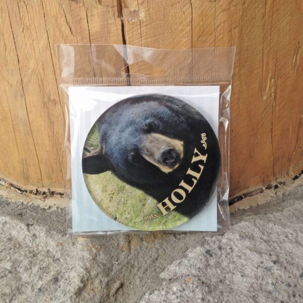 Holly Acrylic Coaster