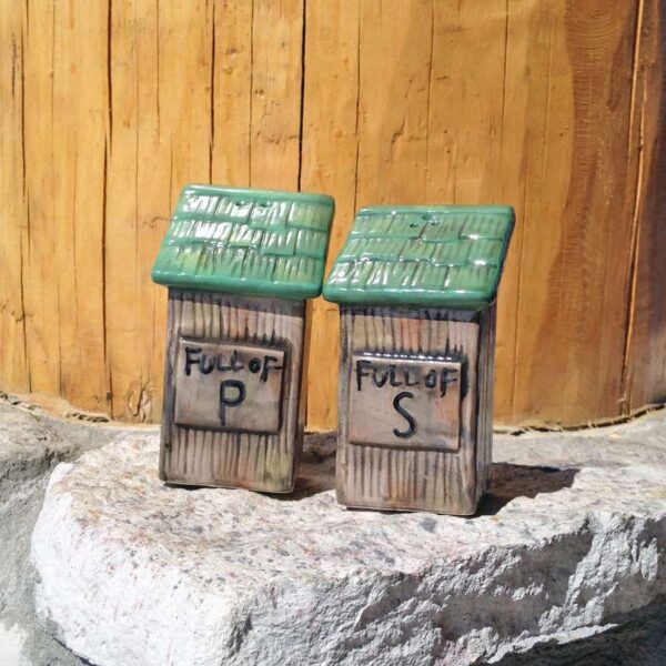 Ceramic outhouse salt & pepper shakers.