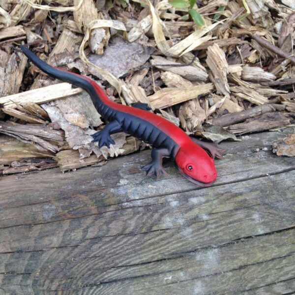 Red spotted salamander toy.