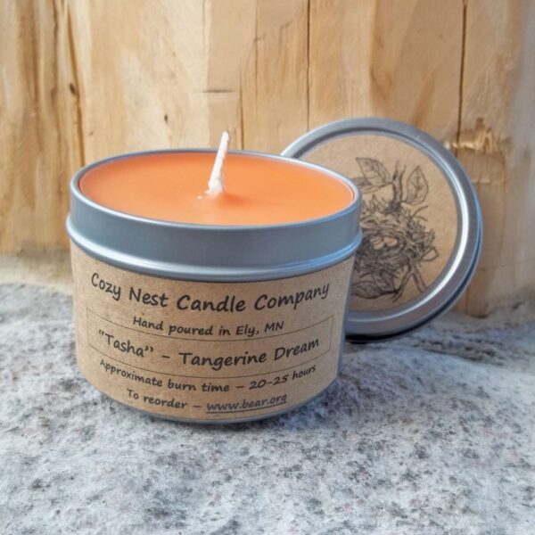 Tasha Tangerine Tin Candle