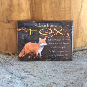 Advice from a fox magnet.
