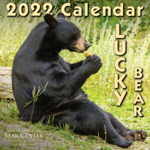 Front cover of our 2022 calendar featuring Lucky.
